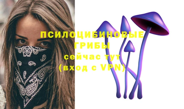 mix Переславль-Залесский