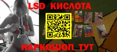 jwh Кингисепп