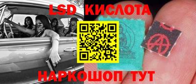 jwh Кингисепп