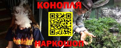 jwh Кингисепп