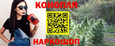 прущие крисы Кимры