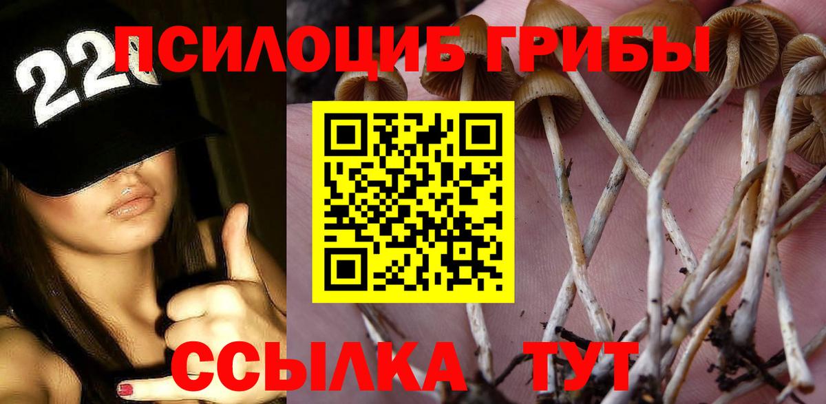 Галлюциногенные грибы MAGIC MUSHROOMS  Псилоцибиновые грибы Psilocybe  Краснотурьинск 