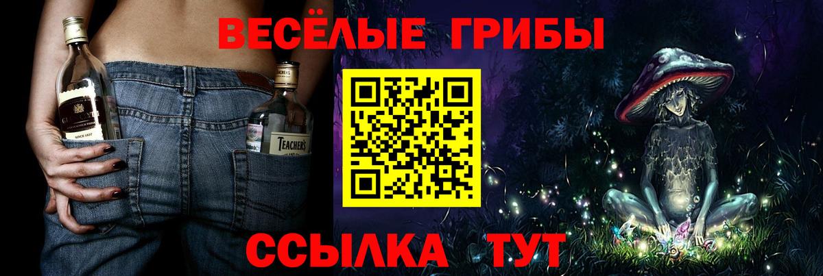 Галлюциногенные грибы Psilocybe Краснотурьинск