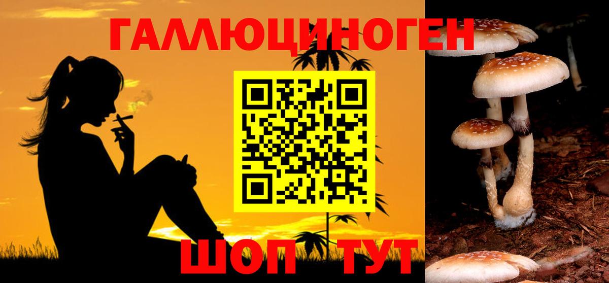 Краснотурьинск  Псилоцибиновые грибы мухоморы  Галлюциногенные грибы ЛСД  Вход с VPN 